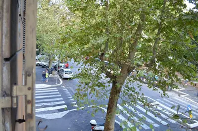 a tree on the side of a city street at Domus Chiara al Colosseo in Rome