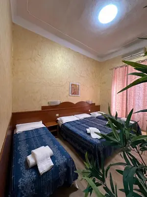 a hotel room with two beds and a plant at Hotel Casali in Rome