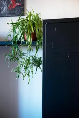 a plant sitting on top of a refrigerator at Myway RDR Apartment in Rome