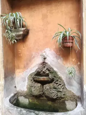 two potted plants on the side of a wall at Apartment in a 1400s building in Via dei Coronari Piazza Navona in Rome