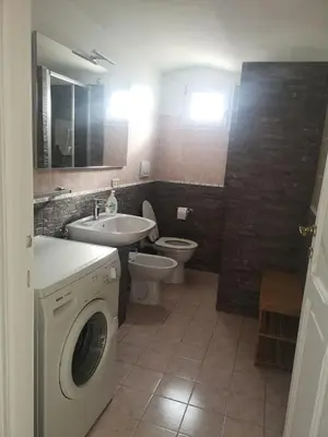 a bathroom with a washing machine and a sink at Soulmate Rooftop Apartment in Rome