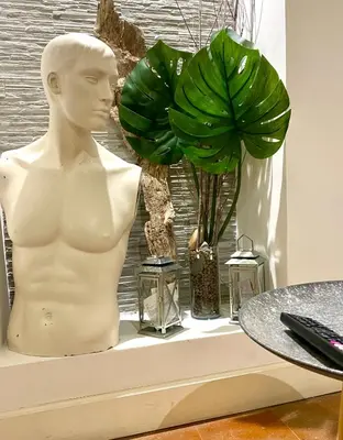 a bust of a man on a shelf next to a plant at Pantheon Ancient Rome Apartment in Rome