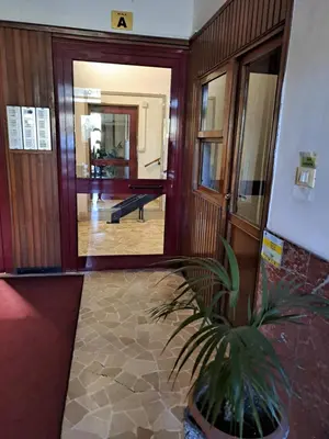 a potted plant sitting in the middle of a hallway at Appartamento Fiore Roma San Pietro in Rome