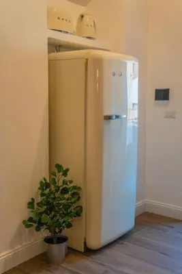 a white refrigerator in a room with a plant at Vintage Cipro Apartment in Rome