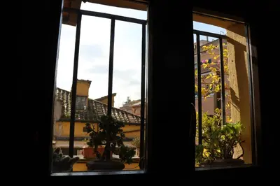 an open window with potted plants on a balcony at Angel's Terrace in Rome