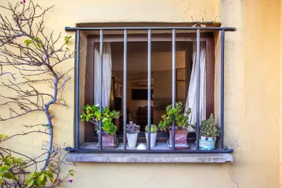 a window with a bunch of potted plants on it at Angel's Terrace in Rome