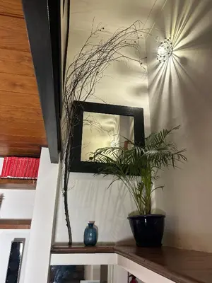 a mirror on a wall with a plant on a table at Garden House Trastevere in Rome