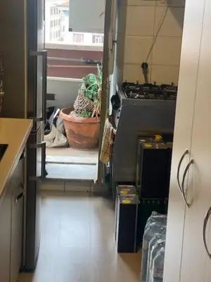 a kitchen with a plant in a pot next to an oven at Casa di Mochi in Rome