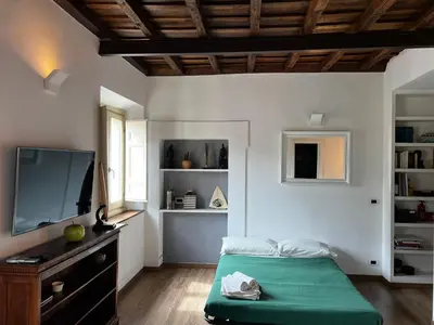 a living room with a bed and a flat screen tv at Colosseo Suite in Rome