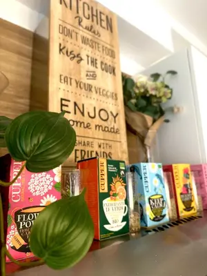 a row of books sitting on a table with a plant at Gemelli-San Pietro-Trastevere-casa con posto auto in Rome