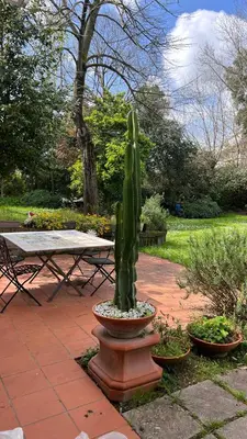 a cactus in a pot sitting on a patio at Villette Aldobrandeschi Urban Oasis Vacation Homes in Rome