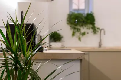 a kitchen with a sink and a potted plant at Cozy & Central with Private Entrance by NDP rent in Rome