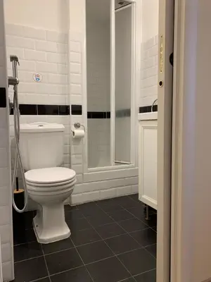 a white bathroom with a toilet and a shower at Guest House VATICAN MUSEUMS PARVA DOMUS in Rome