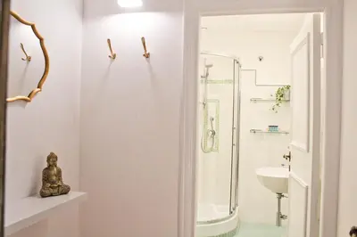 a bathroom with a shower and a sink at Sophisticated Studio Decor in Rome