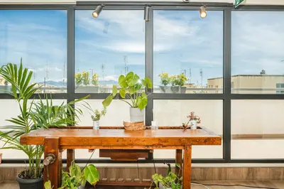 a wooden table with plants on a room with windows at Dotcampus Roma City Center in Rome