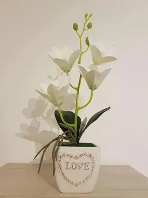 a vase filled with white flowers on a table at Minohouse Vatican view in Rome