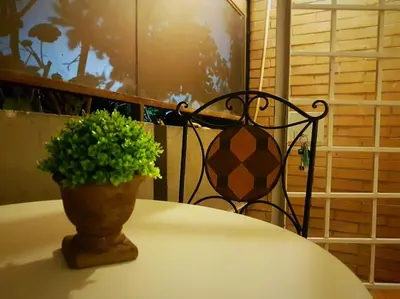 a plant sitting on top of a table with a chair at Minohouse Vatican view in Rome