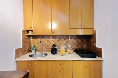 a kitchen counter with a sink and wooden cabinets at Fontanella Dream apartment in Rome