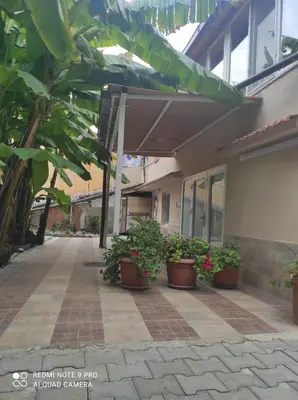 a group of potted plants sitting outside of a building at Casa Mario in Rome