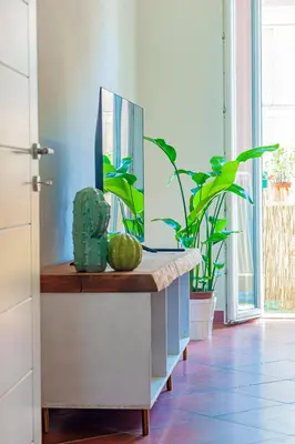 a kitchen with a counter with plants on it at Alloggio Re di Roma 43 in Rome