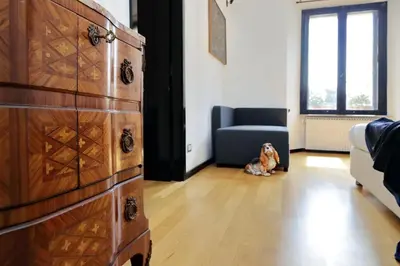 a dog sitting in a living room with a dresser at 4BNB - Spacious Porta Pia Apartment in Rome