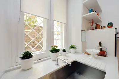 a kitchen with potted plants on the counter at suity I cozy anglona apartment in Rome